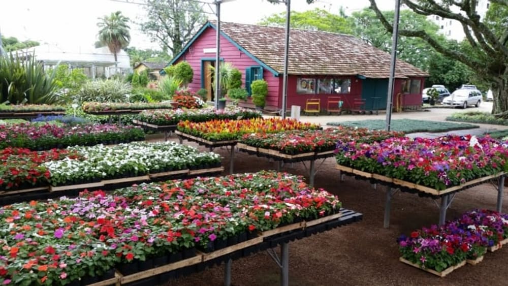 Floricultura Winge