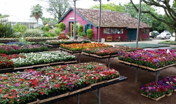 Floricultura Winge