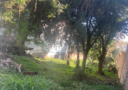 Terreno no bairro Jardim Isabel em Porto Alegre - Cód. 13812