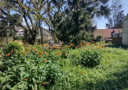 Terreno no bairro Jardim Isabel em Porto Alegre - Cód. 15329