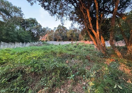 Terreno no bairro Ipanema em Porto Alegre - Cód. 16134