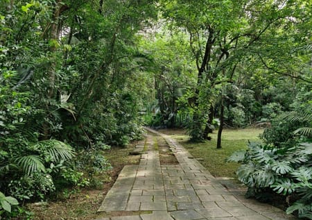 Terreno no bairro Pedra Redonda em Porto Alegre - Cód. 16530