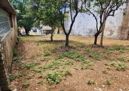 Terreno no bairro Vila Nova em Porto Alegre - Cód. 16799