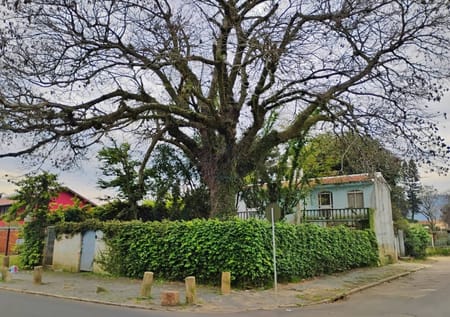 Casa no bairro Guarujá em Porto Alegre - Cód. 17512