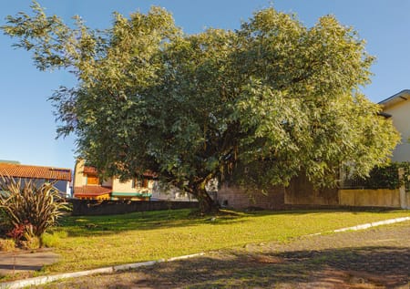 Terreno em Condomínio no bairro Espírito Santo em Porto Alegre - Cód. 17640