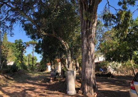 Terreno no bairro Jardim Isabel em Porto Alegre - Cód. 9908