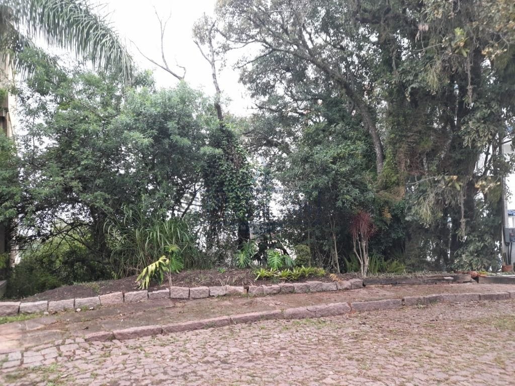 Terreno à venda com 450m² no bairro Sétimo Céu em Porto Alegre - Foto 1
