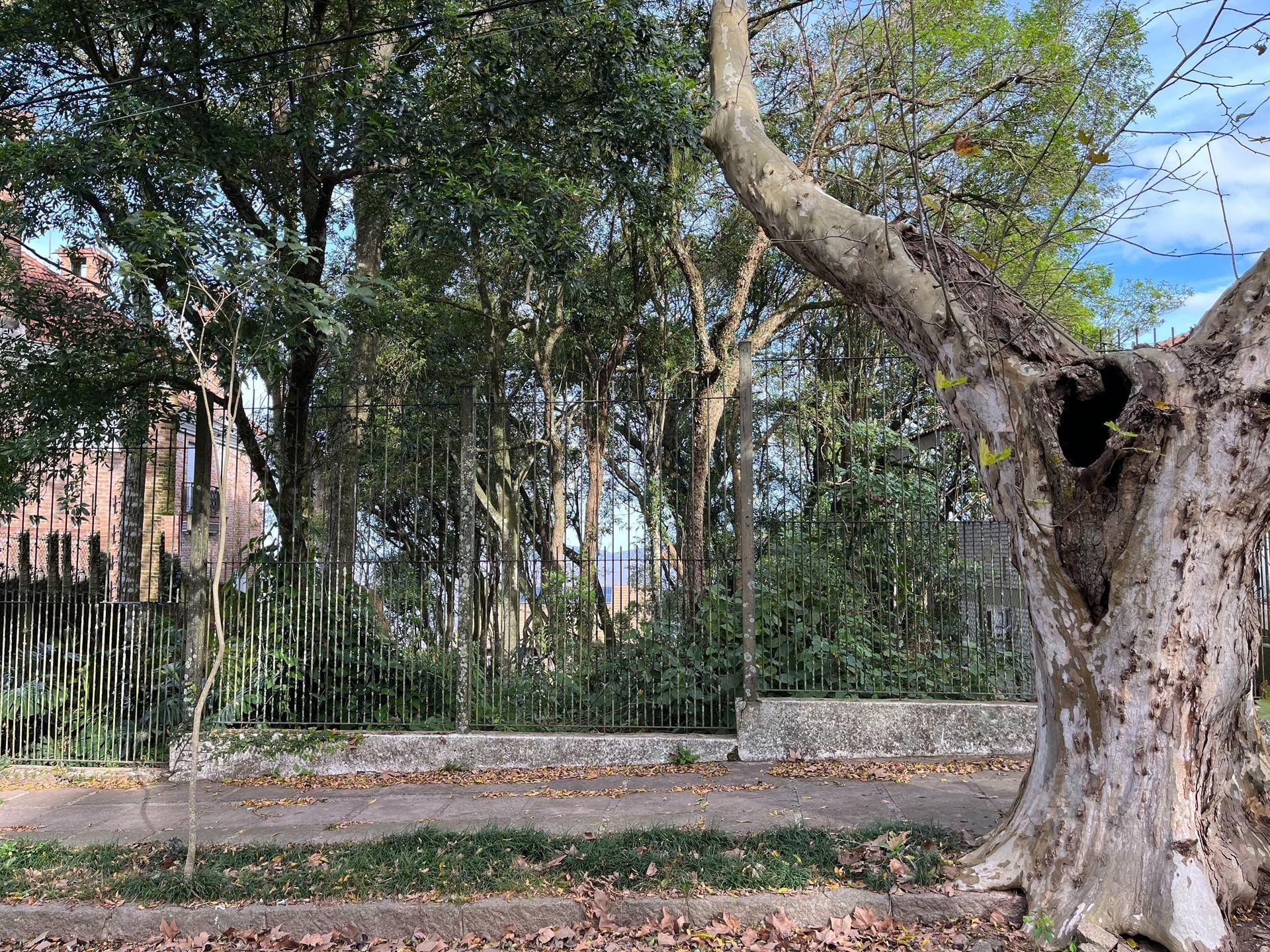 Terreno à venda com 392m² no bairro Vila Conceição em Porto Alegre - Foto 1