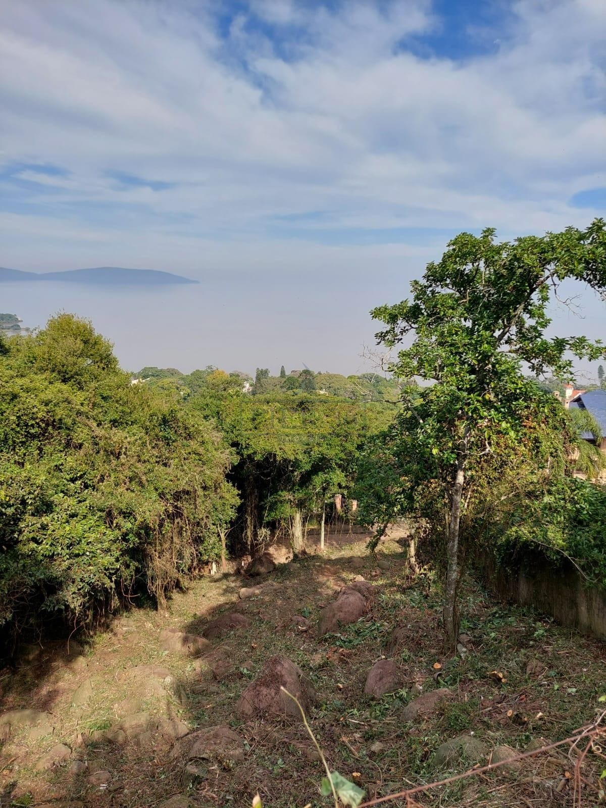Terreno à venda com 778m² no bairro Sétimo Céu em Porto Alegre - Foto 1