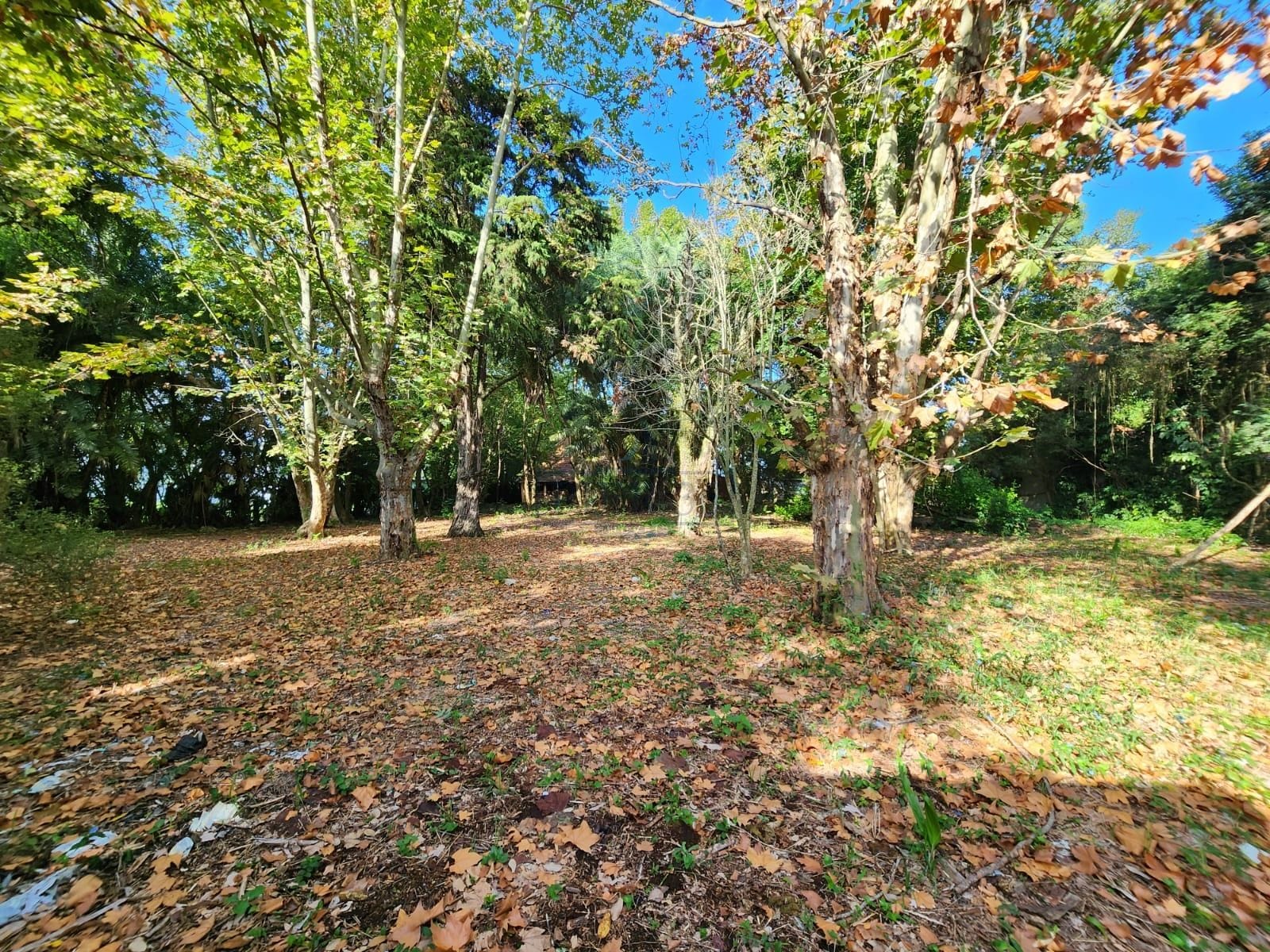 Terreno à venda com 5322m² no bairro Pedra Redonda em Porto Alegre - Foto 1