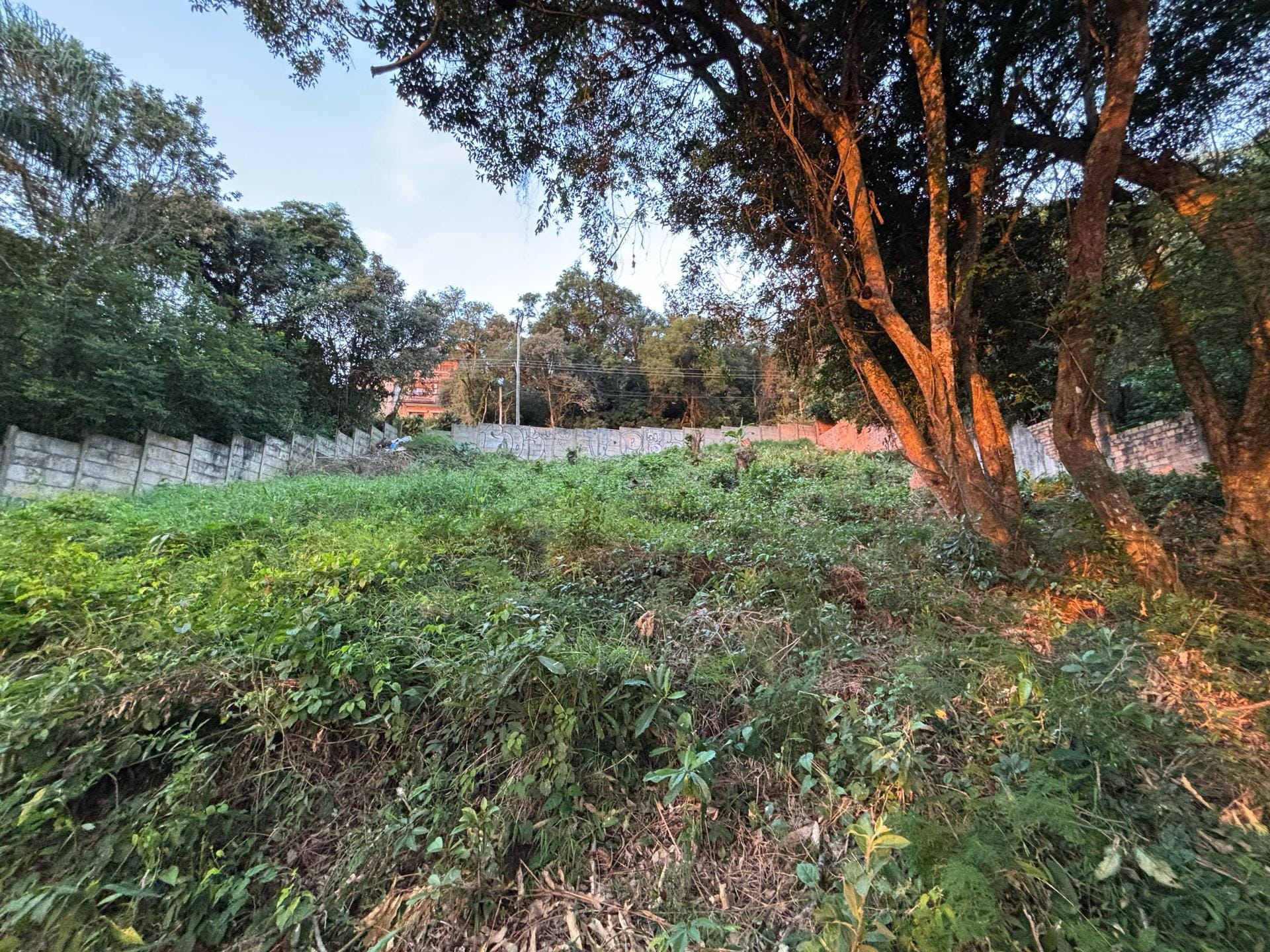 Terreno à venda com 915m² no bairro Ipanema em Porto Alegre - Foto 1