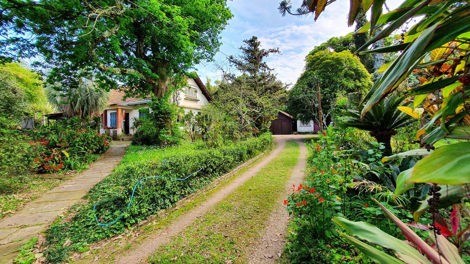 Casa à venda com 175m², 3 dormitórios, 6 vagas no bairro Jardim Isabel em Porto Alegre - Foto 1