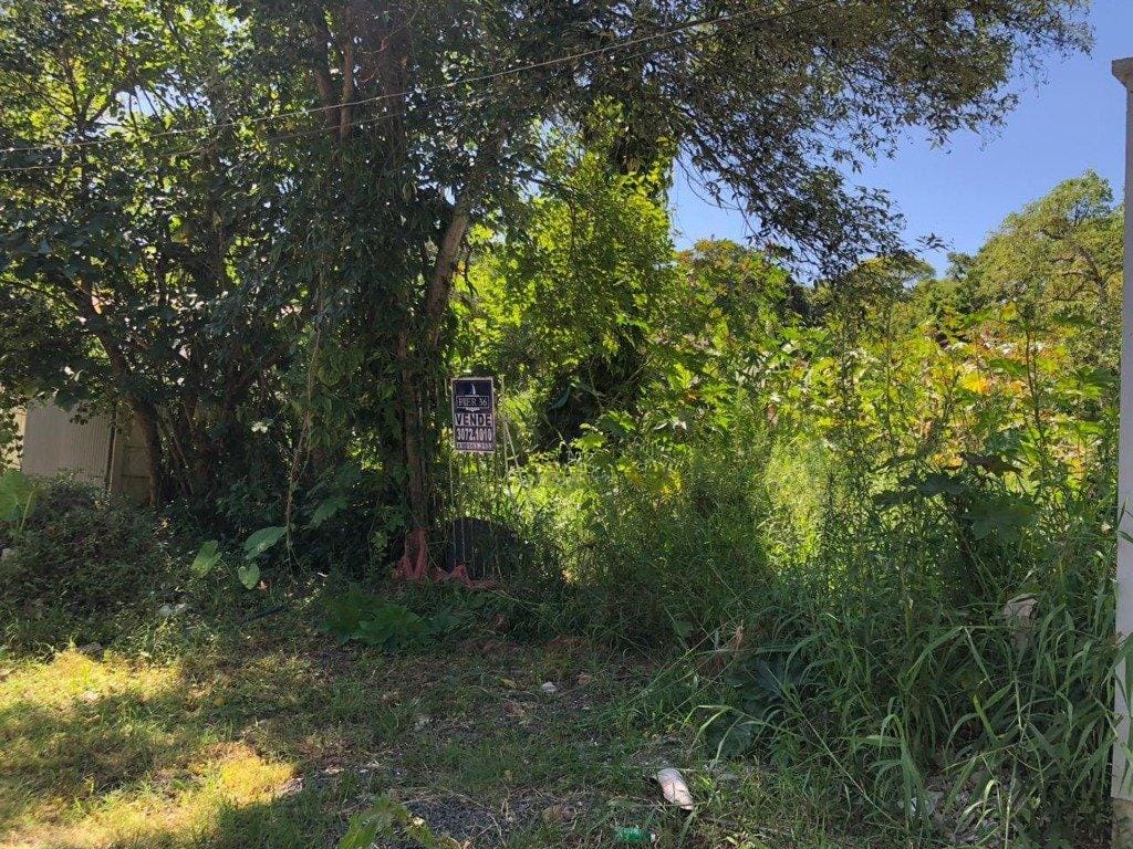 Terreno à venda com 342m² no bairro Pedra Redonda em Porto Alegre - Foto 1