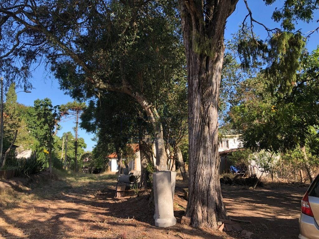 Terreno à venda com 4452m² no bairro Jardim Isabel em Porto Alegre - Foto 1