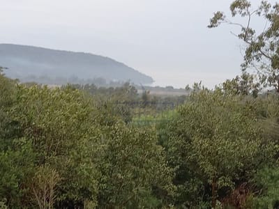 03_Vista Sudoeste