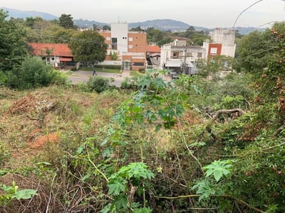 03_Terreno