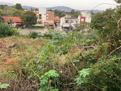 02_Terreno