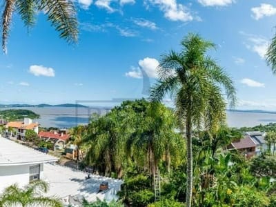 1 Vista