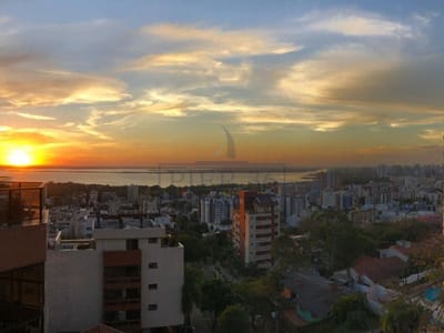 21_Vista