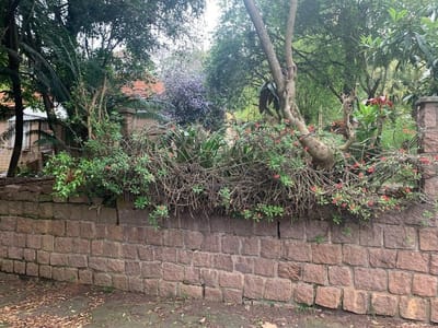 4-Fachada