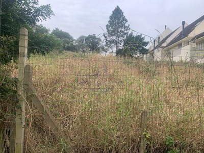Terreno no bairro Jardim Isabel em Porto Alegre - Cód. 12486