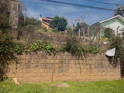 Terreno_02
