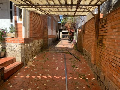 03_Lateral