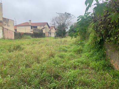 02_Frente/Fundos