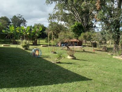 03_Área verde