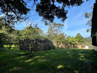 04_Área verde