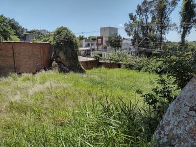 04_Terreno