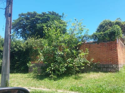 02_Frente/Lateral