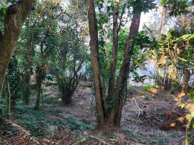 02_terreno acesso ao guaíba
