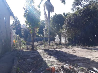 03_Terreno