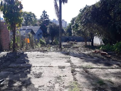 02_Terreno