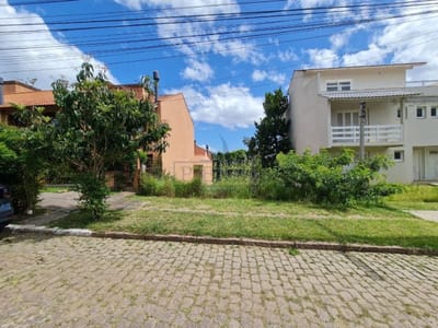 03_Terreno