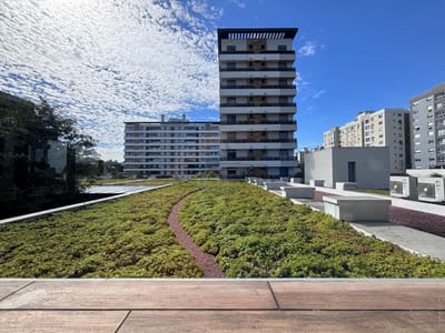 06_vista