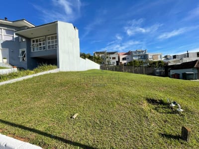 02_Vista terreno