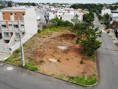 03_Vista Lotes