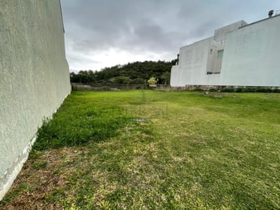 03_Fundos do lote