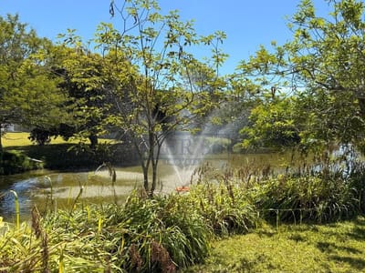 04_ Fundos