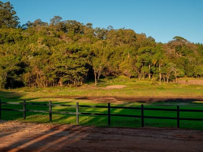 04_Área verde e pasto