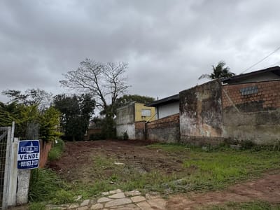 02_Terreno