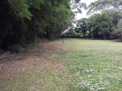 03_Terreno