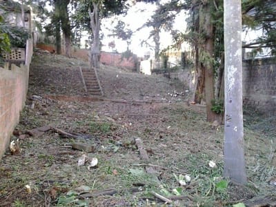 Terreno 03