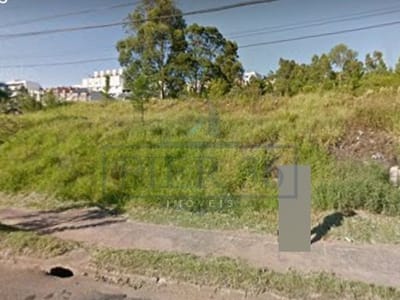 032_terreno.jpg